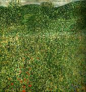blommande falt Gustav Klimt